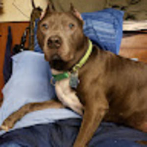 Meet your Posher, Denise